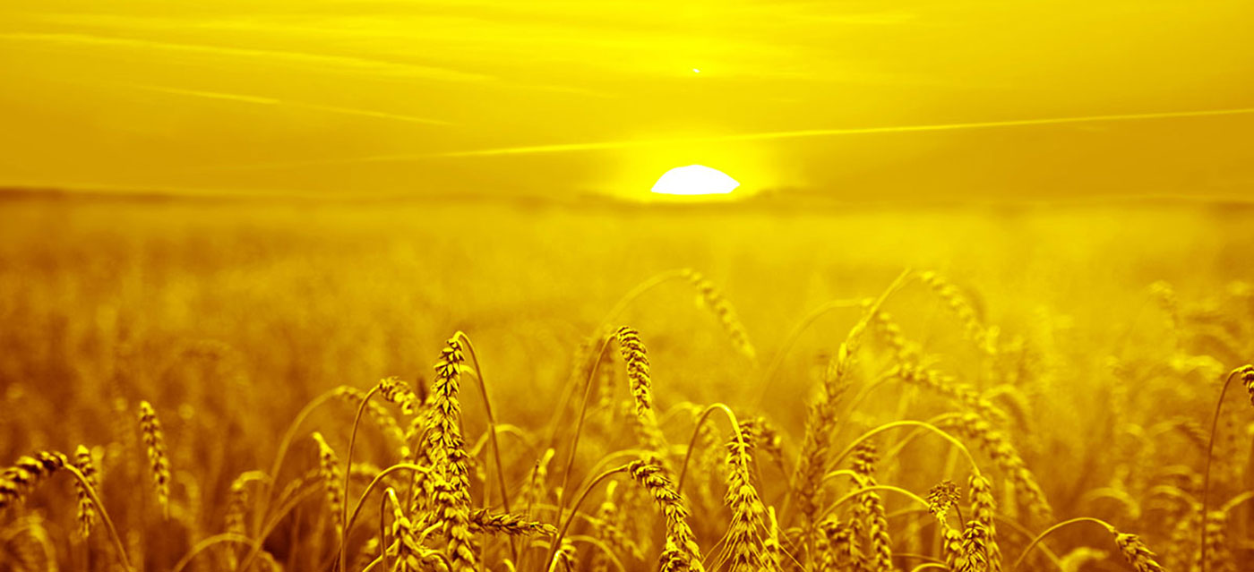 نود تقديم حلول اللون